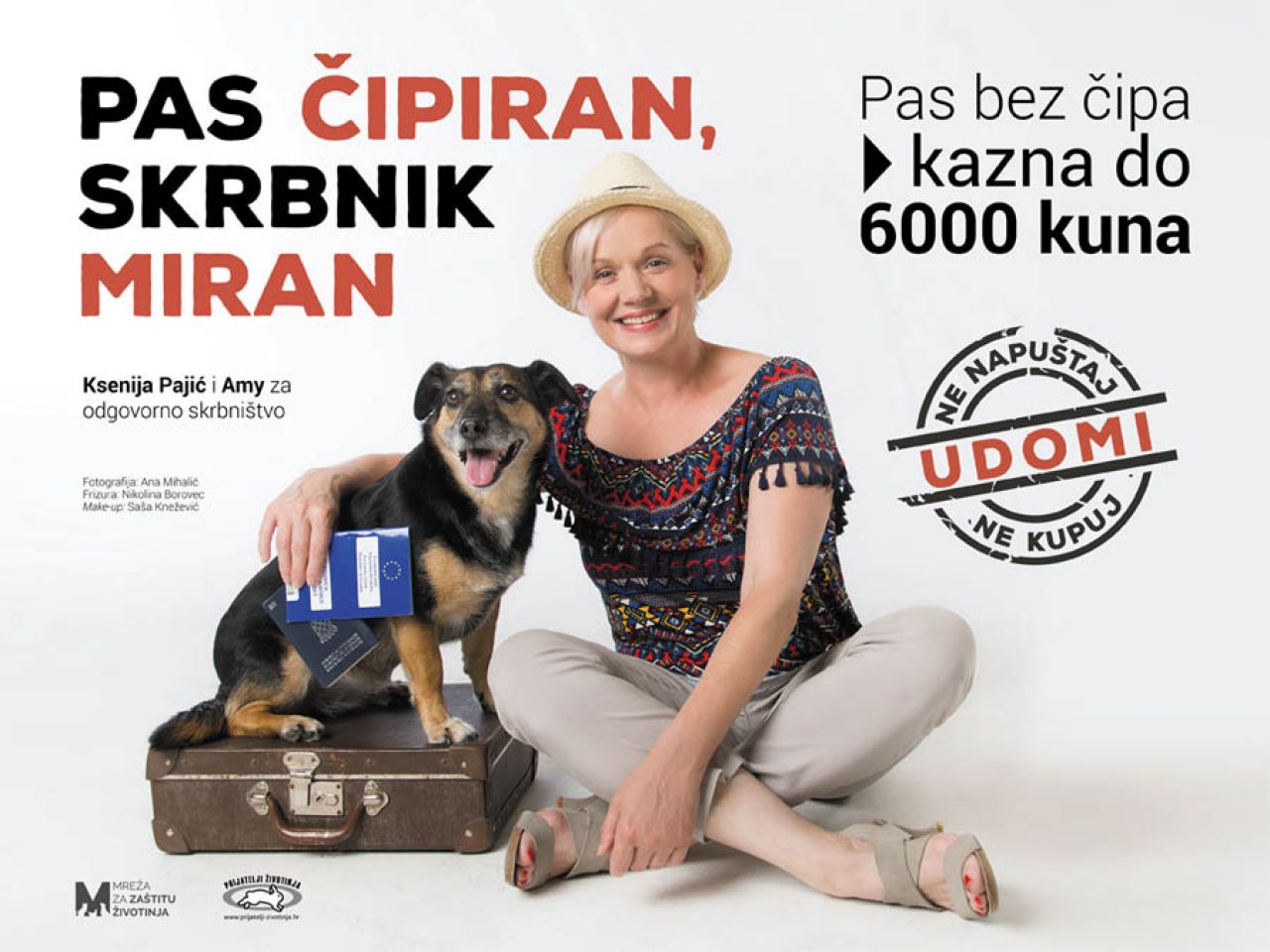 Pas čipiran, skrbnik miran