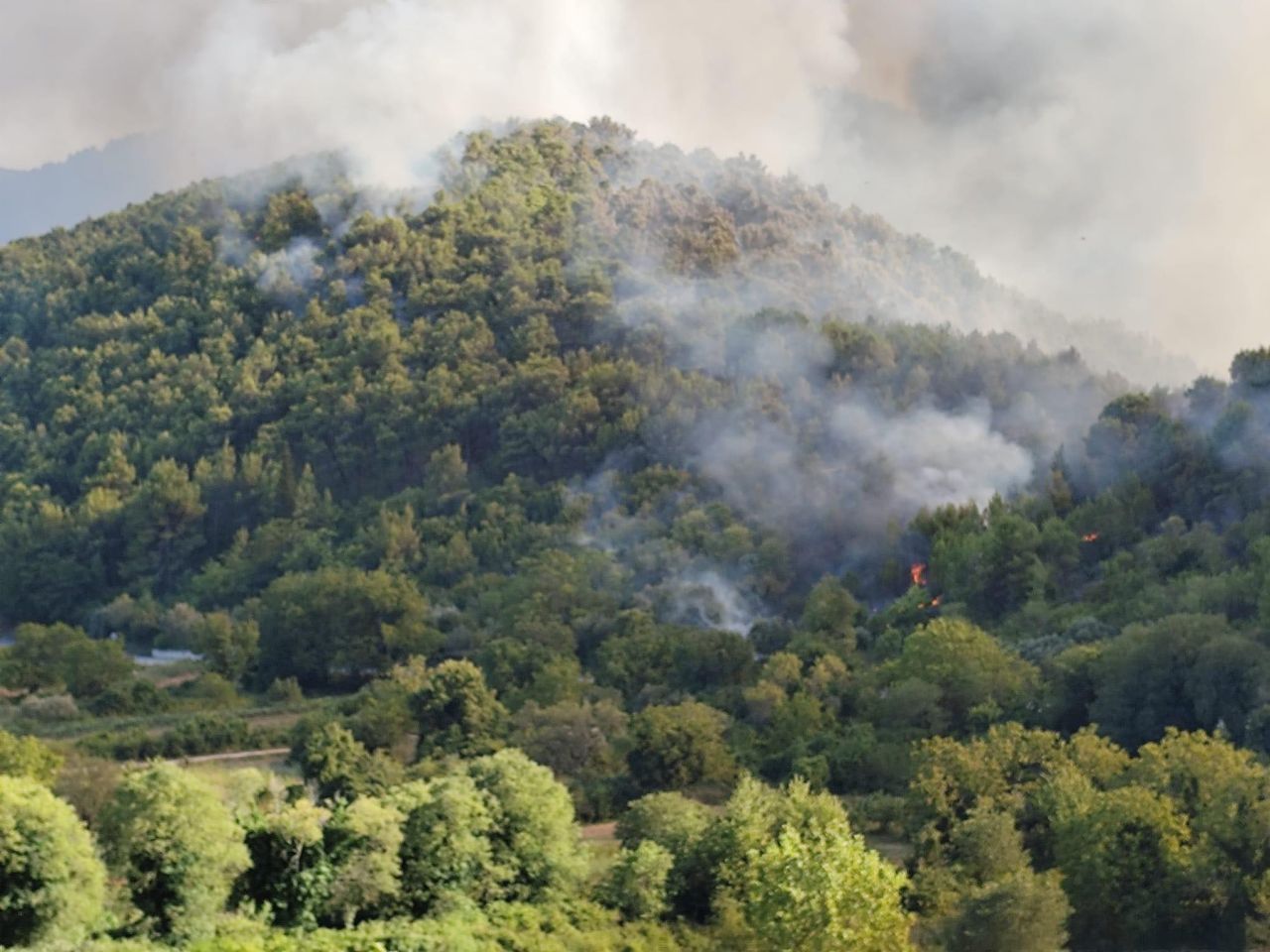 POZIV ZA PRIJAVU ŠTETE OD PRIRODNE NEPOGODE – POŽARA